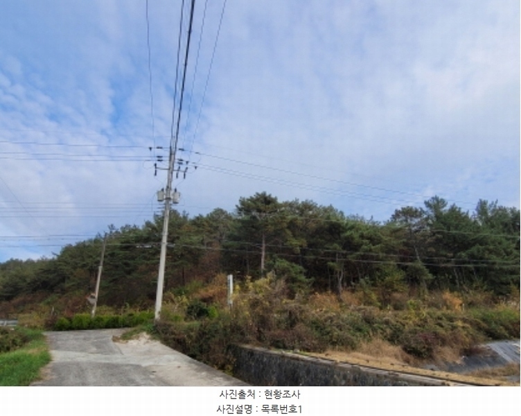 2024타경38713 경상남도 진주시 수곡면 효자리 산101-1 임야 경매 이미지