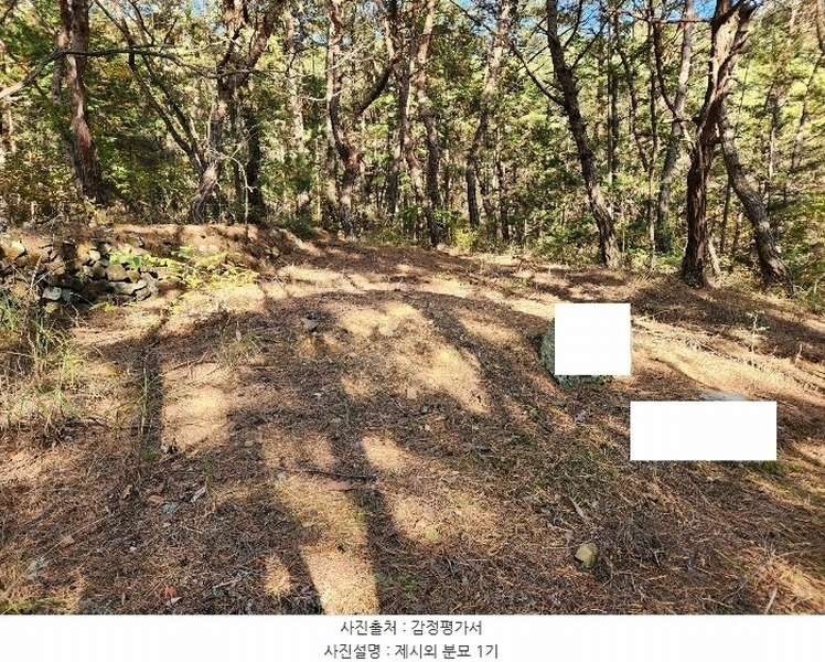 2024타경38713 경상남도 진주시 수곡면 효자리 산101-1 임야 경매 이미지