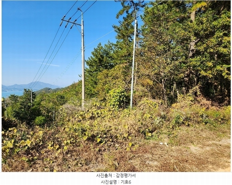 2024타경39075 경상남도 남해군 창선면 서대리 산120-7 임야 경매 이미지