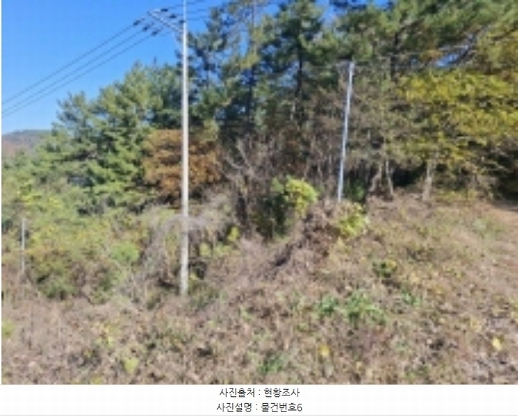 2024타경39075 경상남도 남해군 창선면 서대리 산120-7 임야 경매 이미지