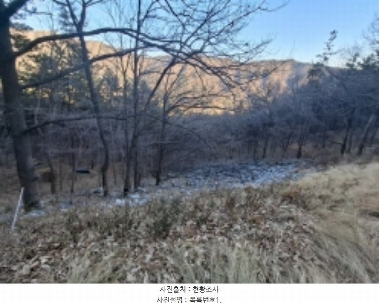 2024타경40112 경상남도 사천시 와룡동 산78-3 임야 경매 이미지