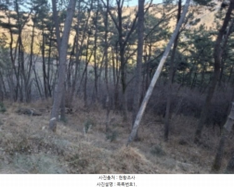 2024타경40112 경상남도 사천시 와룡동 산78-3 임야 경매 이미지
