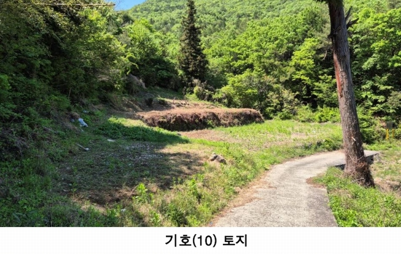 2025타경676 경상남도 남해군 삼동면 봉화리 1946 농지 경매 이미지