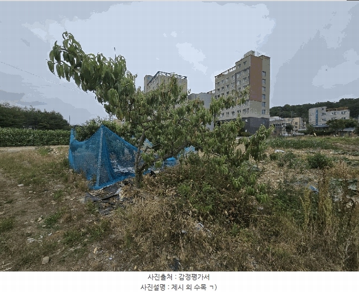 2025타경734 경상남도 사천시 사남면 방지리 725 대지 경매 이미지
