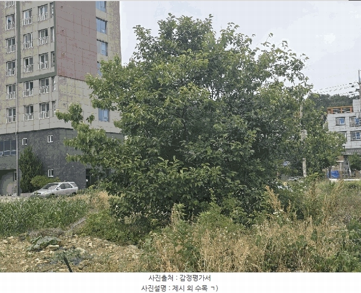 2025타경734 경상남도 사천시 사남면 방지리 725 대지 경매 이미지