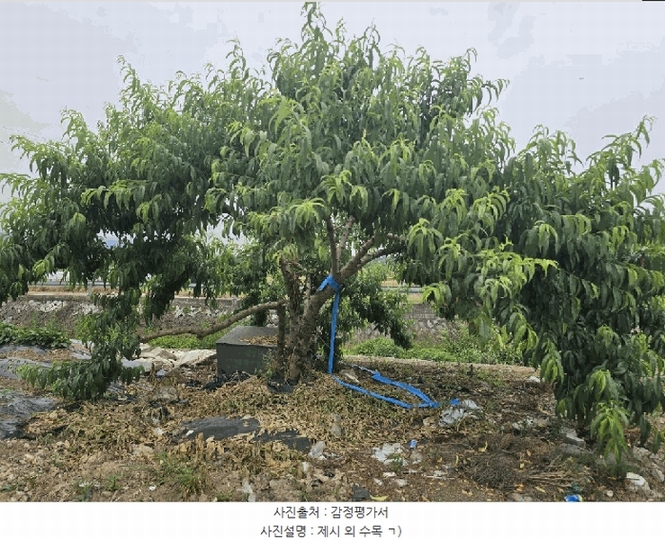 2025타경734 경상남도 사천시 사남면 방지리 725 대지 경매 이미지