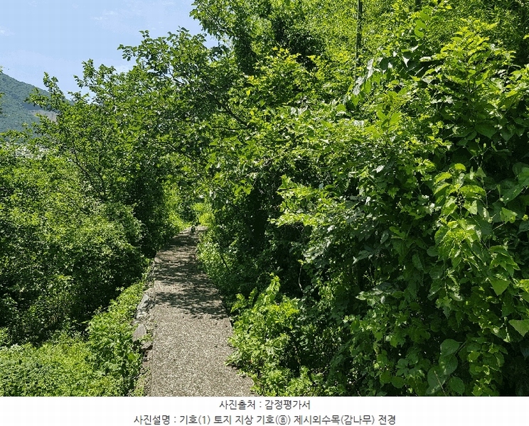 2025타경773 경상남도 하동군 옥종면 양구리 151-1 대지 경매 이미지
