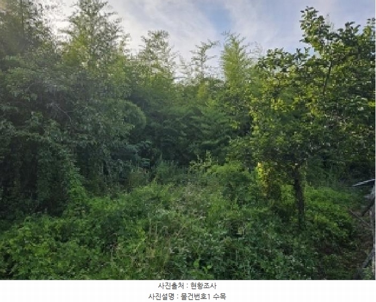 2025타경773 경상남도 하동군 옥종면 양구리 151-1 대지 경매 이미지