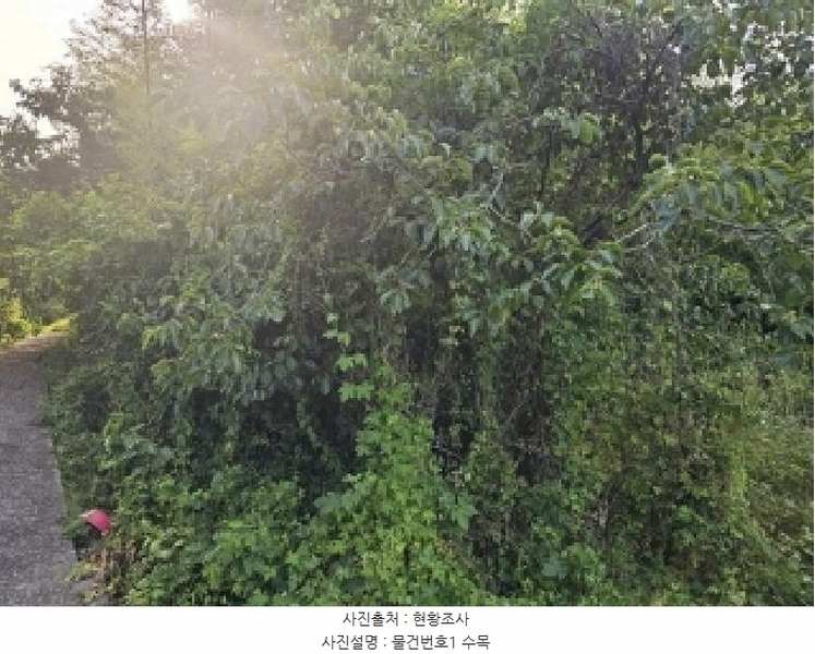 2025타경773 경상남도 하동군 옥종면 양구리 151-1 대지 경매 이미지