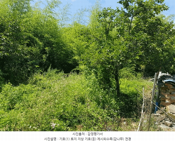 2025타경773 경상남도 하동군 옥종면 양구리 151-1 대지 경매 이미지