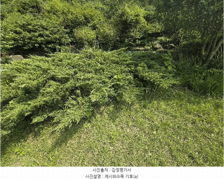 2025타경777 경상남도 하동군 하동읍 흥룡리 655-3 주택 경매 이미지
