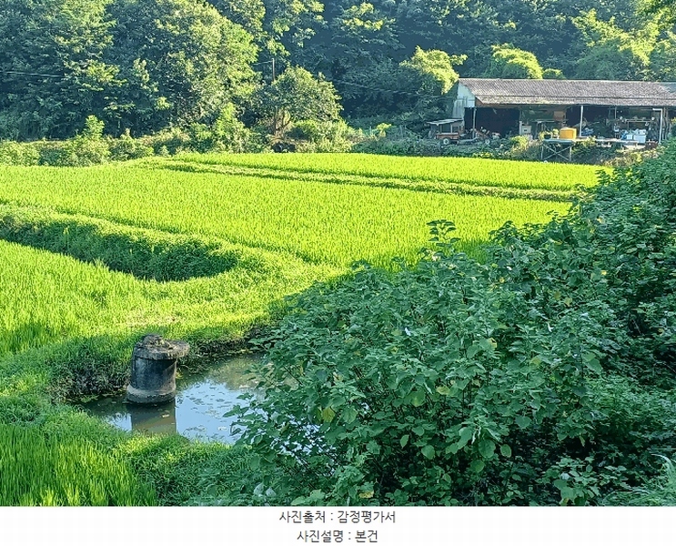 2025타경820 경상남도 사천시 곤양면 대진리 494 농지 경매 이미지
