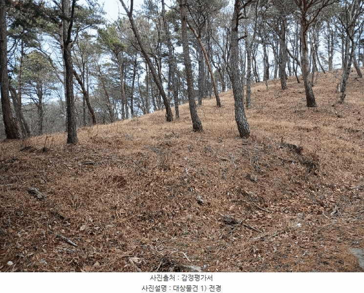 2025타경30629 경상남도 사천시 서포면 다평리 산109-29 임야 경매 이미지