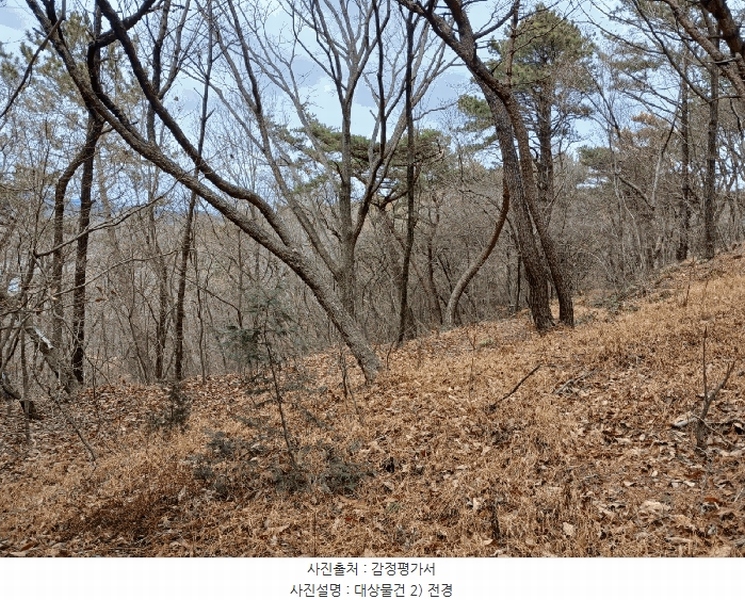 2025타경30629 경상남도 사천시 서포면 다평리 산109-29 임야 경매 이미지