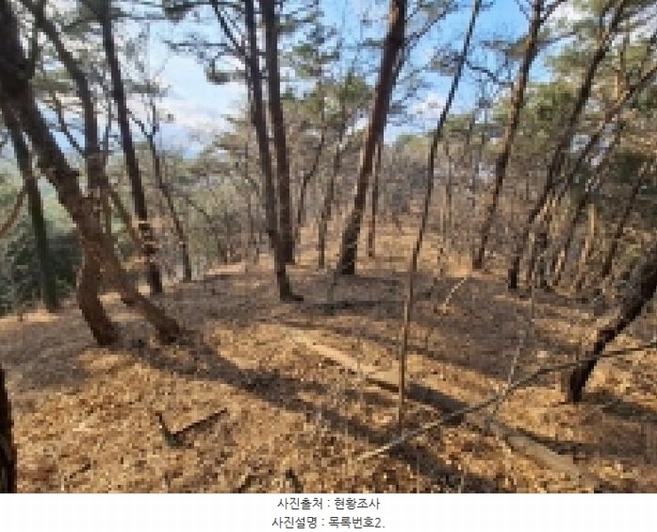 2025타경30629 경상남도 사천시 서포면 다평리 산109-29 임야 경매 이미지
