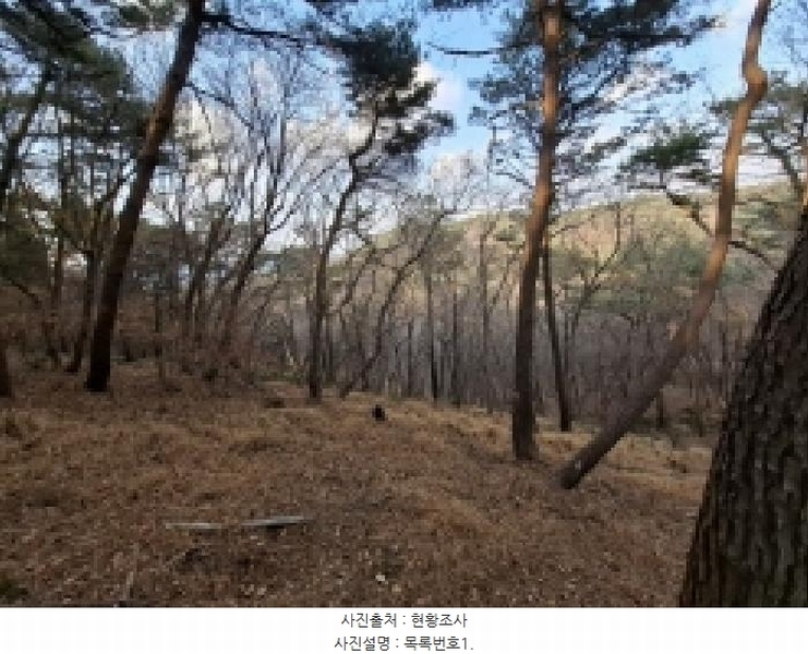 2025타경30629 경상남도 사천시 서포면 다평리 산109-29 임야 경매 이미지