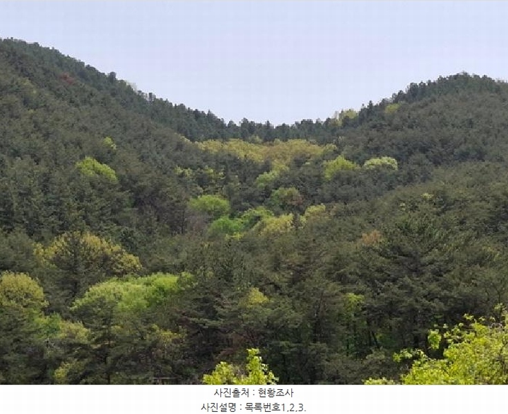2025타경30733 경상남도 사천시 사천읍 금곡리 산55-1 임야 경매 이미지