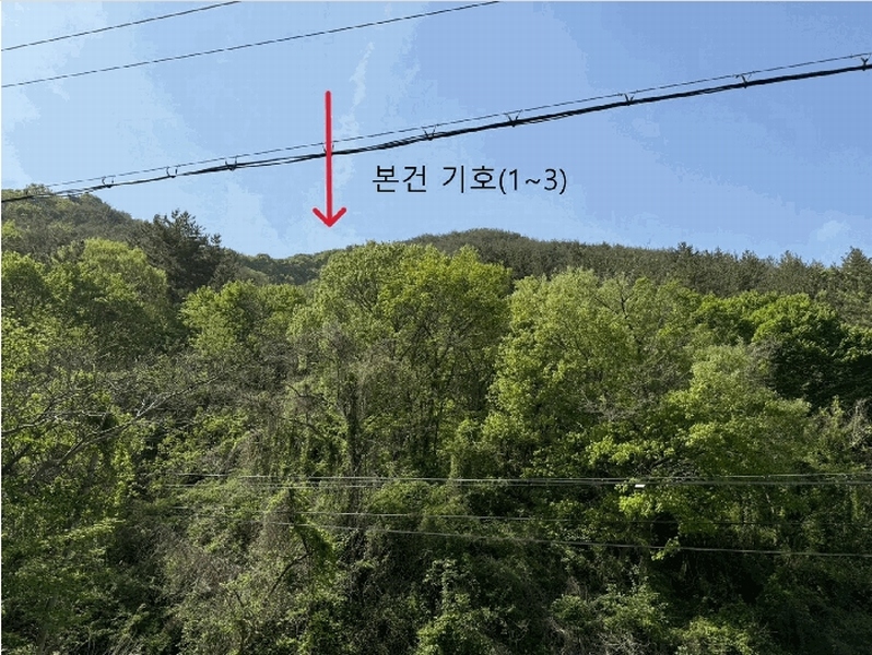 2025타경30733 경상남도 사천시 사천읍 금곡리 산55-1 임야 경매 이미지