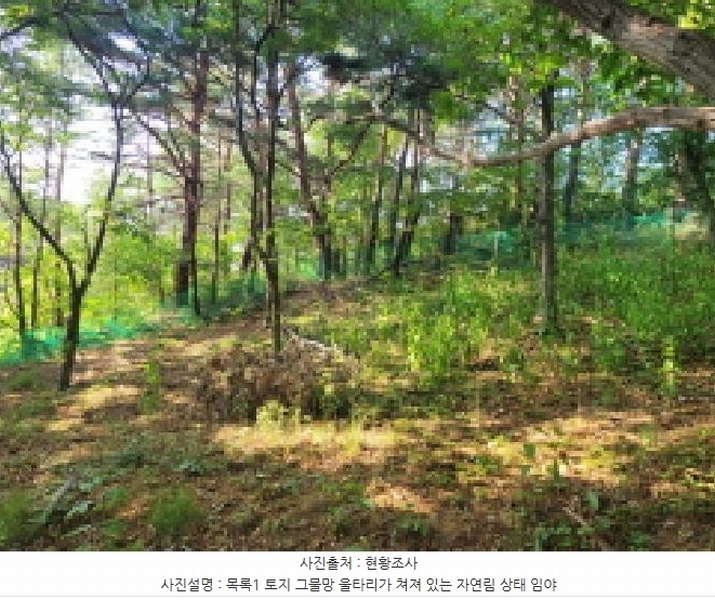 2025타경10298 강원특별자치도 속초시 노학동 산80-7 임야 경매 이미지