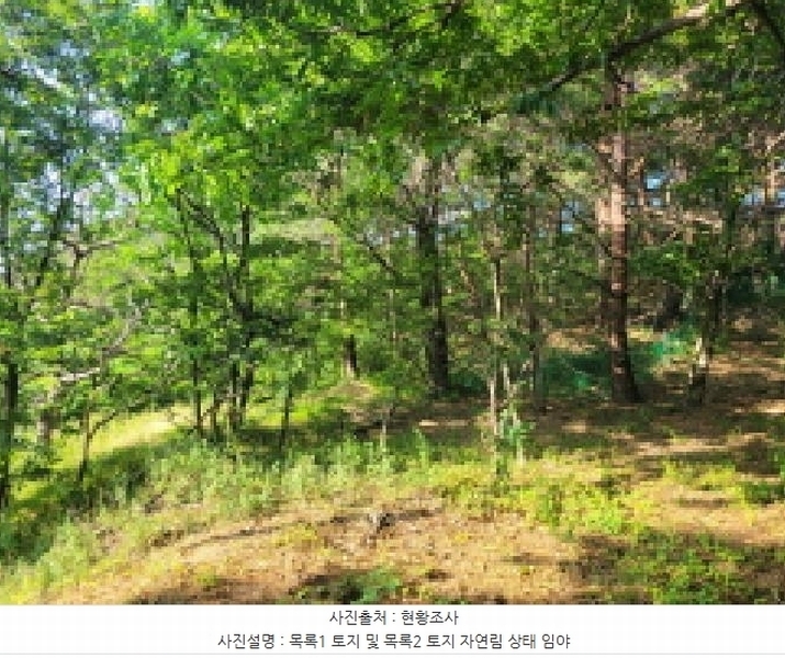 2025타경10298 강원특별자치도 속초시 노학동 산80-7 임야 경매 이미지