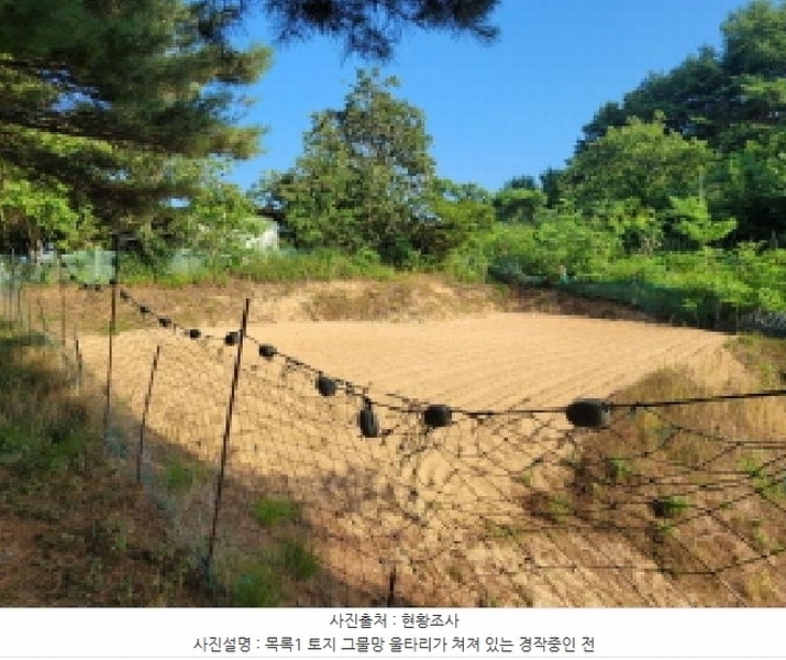2025타경10298 강원특별자치도 속초시 노학동 산80-7 임야 경매 이미지