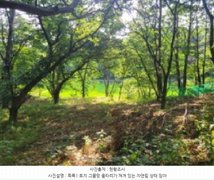 2025타경10298 강원특별자치도 속초시 노학동 산80-7 임야 경매 이미지