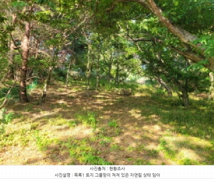 2025타경10298 강원특별자치도 속초시 노학동 산80-7 임야 경매 이미지