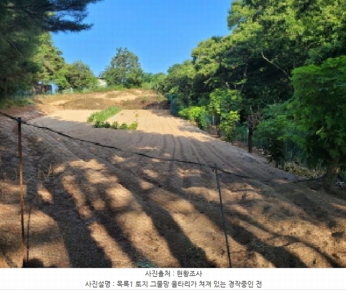 2025타경10298 강원특별자치도 속초시 노학동 산80-7 임야 경매 이미지