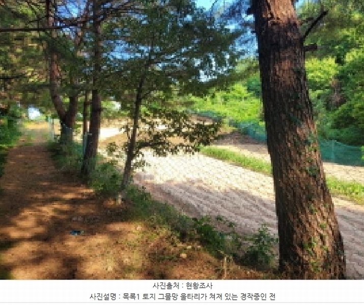 2025타경10298 강원특별자치도 속초시 노학동 산80-7 임야 경매 이미지