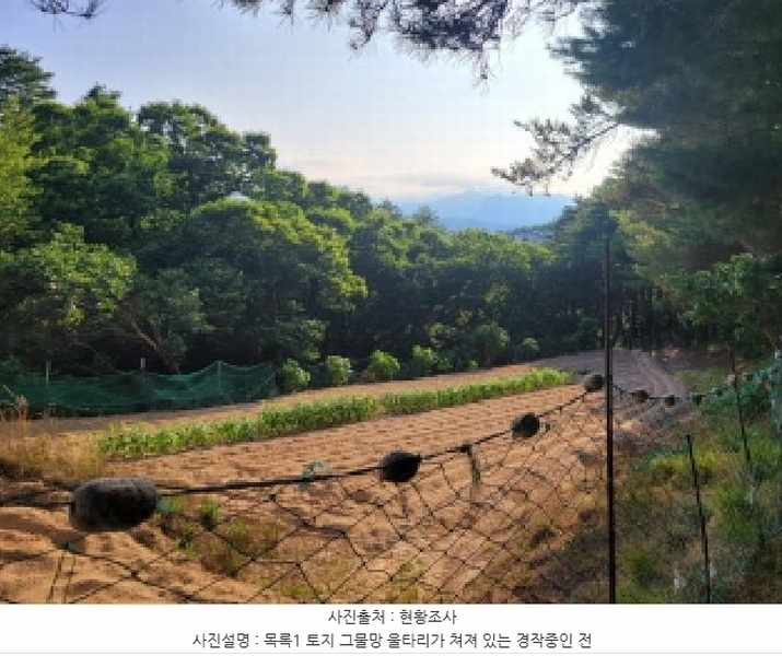 2025타경10298 강원특별자치도 속초시 노학동 산80-7 임야 경매 이미지