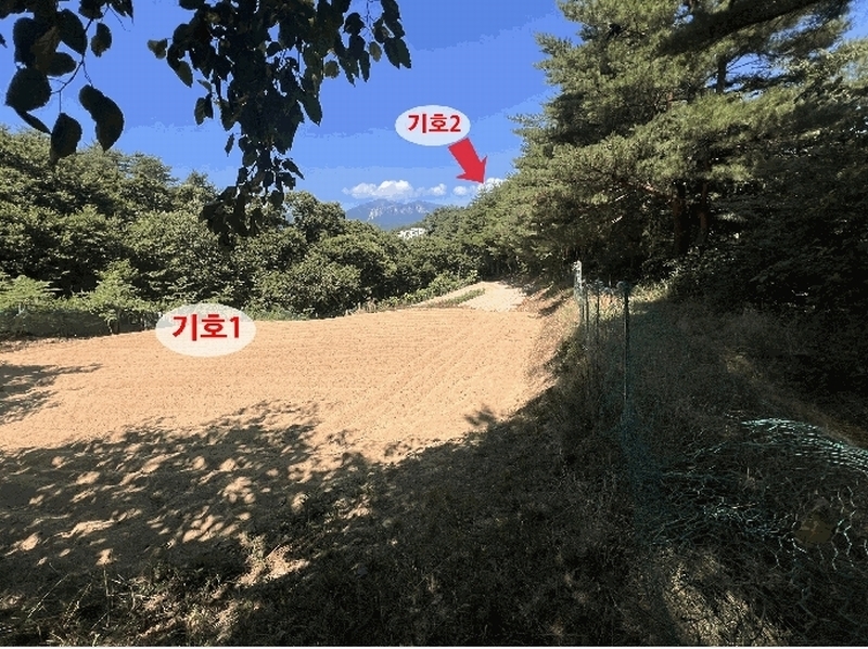 2025타경10298 강원특별자치도 속초시 노학동 산80-7 임야 경매 이미지