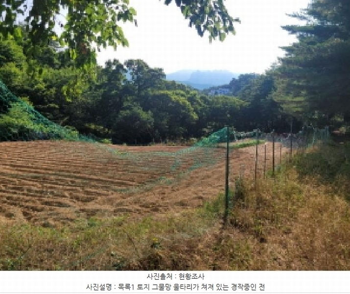 2025타경10298 강원특별자치도 속초시 노학동 산80-7 임야 경매 이미지