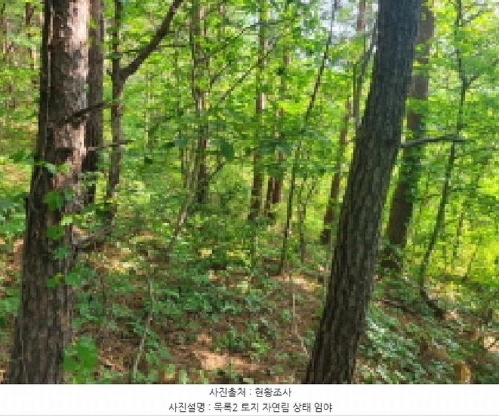 2025타경10298 강원특별자치도 속초시 노학동 산80-7 임야 경매 이미지