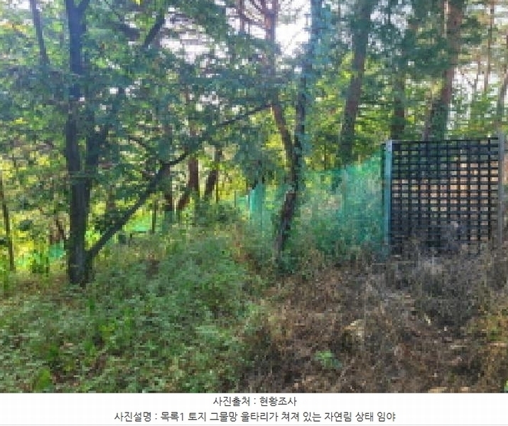 2025타경10298 강원특별자치도 속초시 노학동 산80-7 임야 경매 이미지