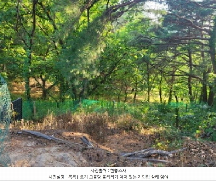 2025타경10298 강원특별자치도 속초시 노학동 산80-7 임야 경매 이미지