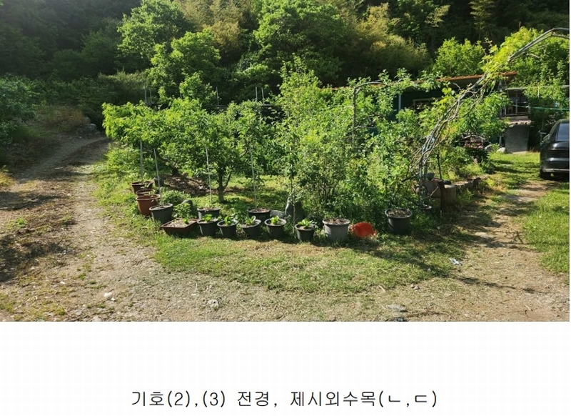 2025타경30844 경상남도 산청군 시천면 사리 436 농지 경매 이미지