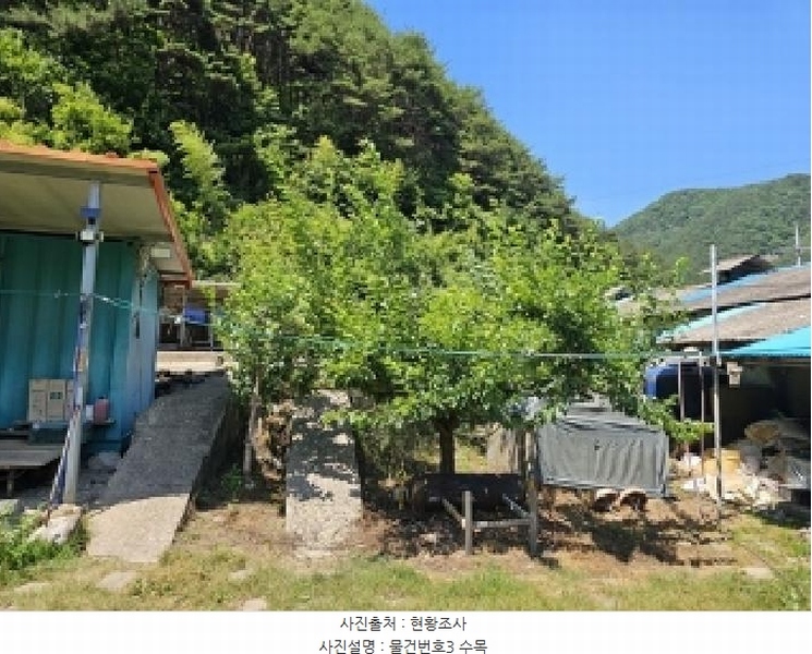 2025타경30844 경상남도 산청군 시천면 사리 436 농지 경매 이미지