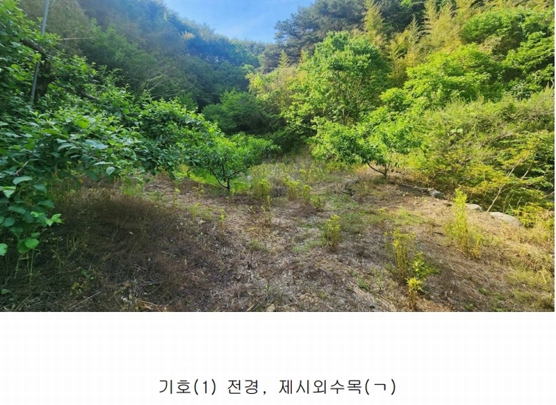 2025타경30844 경상남도 산청군 시천면 사리 436 농지 경매 이미지