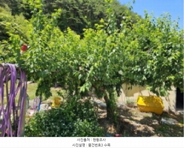 2025타경30844 경상남도 산청군 시천면 사리 436 농지 경매 이미지