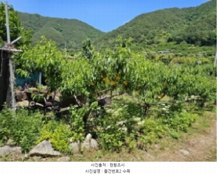 2025타경30844 경상남도 산청군 시천면 사리 436 농지 경매 이미지