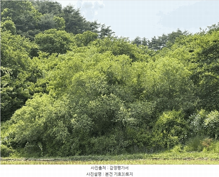 2025타경30856 경상남도 산청군 차황면 장박리 208 농지 경매 이미지