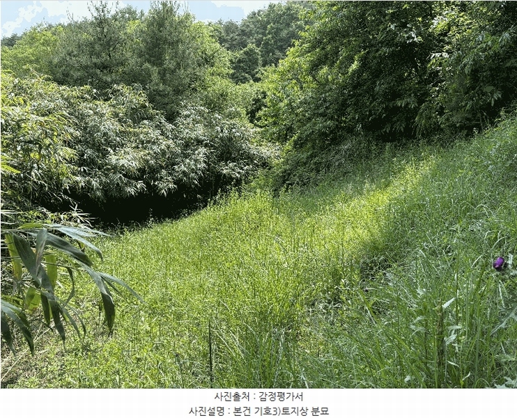 2025타경30856 경상남도 산청군 차황면 장박리 208 농지 경매 이미지