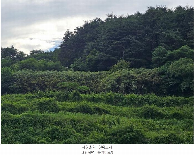 2025타경30856 경상남도 산청군 차황면 장박리 208 농지 경매 이미지