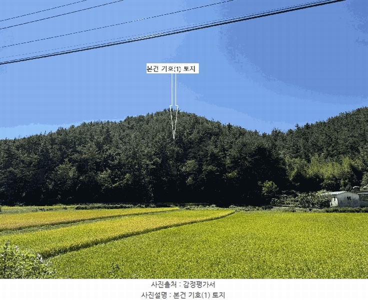 2025타경30972 경상남도 하동군 금남면 진정리 산20-4 임야 경매 이미지