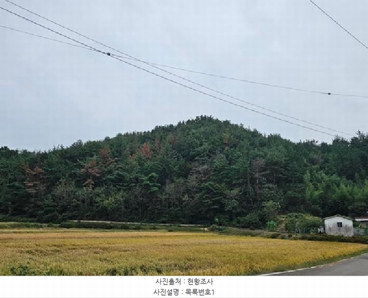 2025타경30972 경상남도 하동군 금남면 진정리 산20-4 임야 경매 이미지