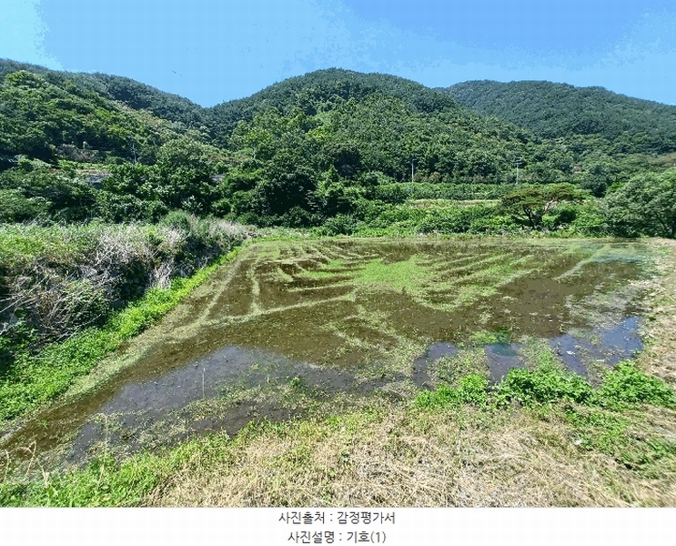 2025타경30984 경상남도 하동군 청암면 명호리 625 농지 경매 이미지