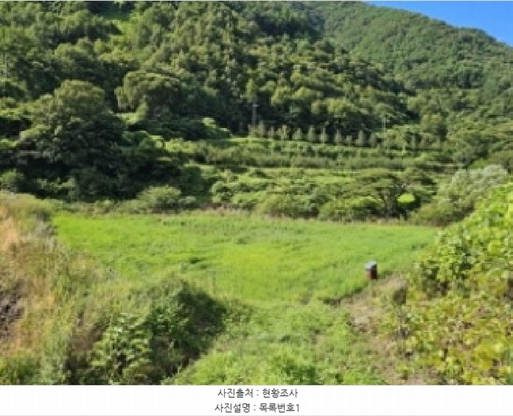 2025타경30984 경상남도 하동군 청암면 명호리 625 농지 경매 이미지