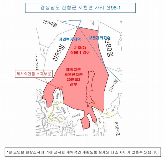 2025타경31015 경상남도 산청군 시천면 사리 산96-1 임야 경매 이미지