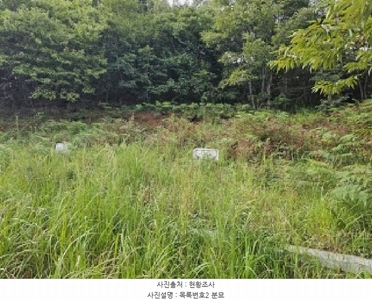 2025타경31015 경상남도 산청군 시천면 사리 산96-1 임야 경매 이미지