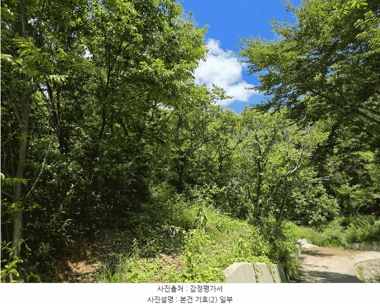 2025타경31015 경상남도 산청군 시천면 사리 산96-1 임야 경매 이미지